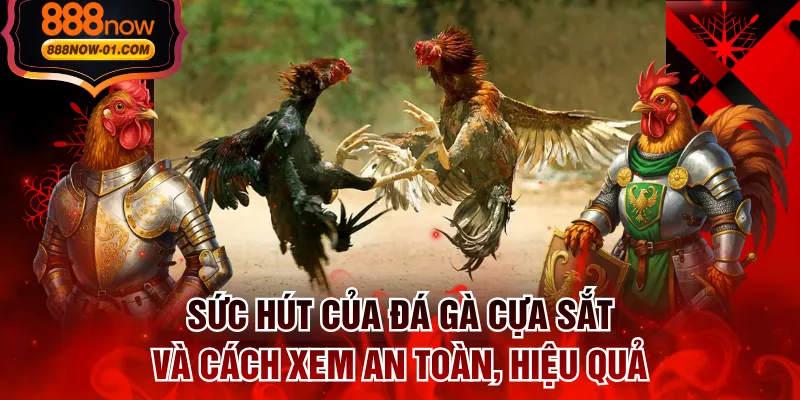 Sức Hút Của Đá Gà Cựa Sắt Và Cách Xem An Toàn, Hiệu Quả